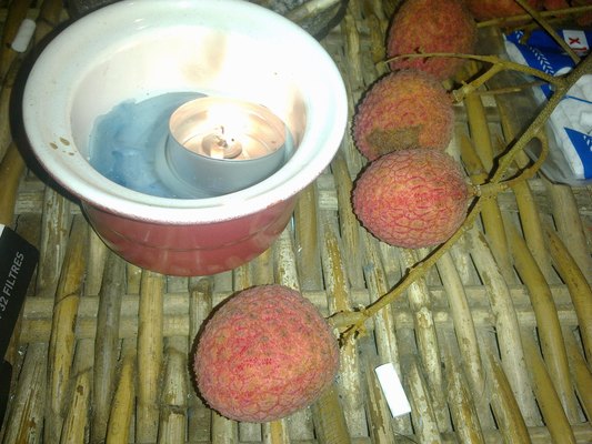 ./galerie/19letchis- de- la-maison.jpg